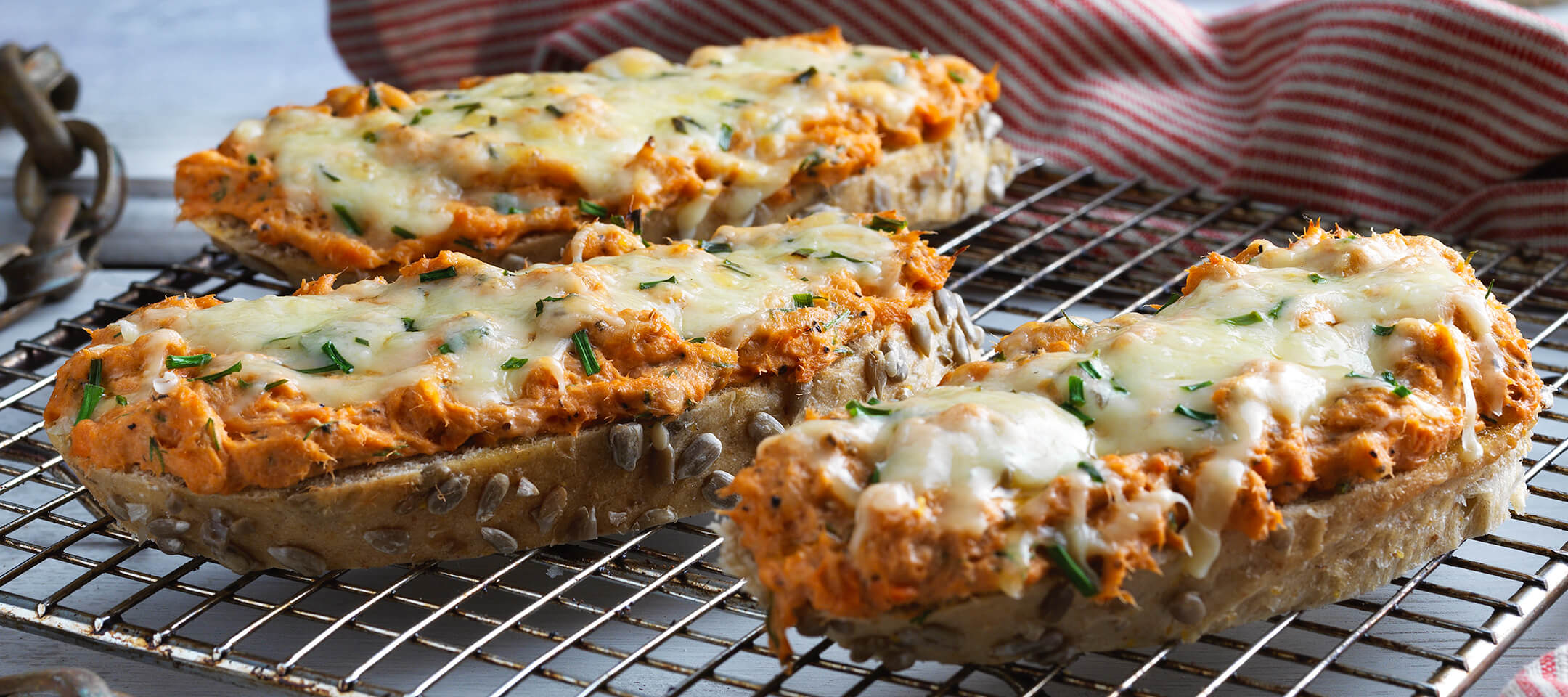 Delicious Wild Alaskan Salmon Chive & Cheddar Grills – John West Ireland